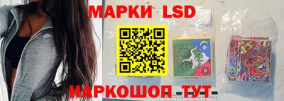 хмурый Новозыбков
