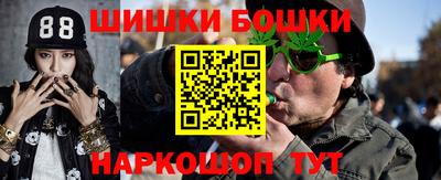 хмурый Новозыбков