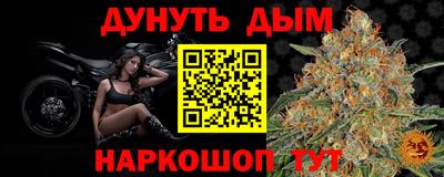 амф Новодвинск
