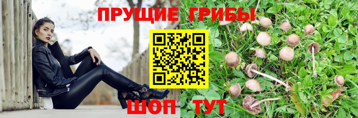 Лсд 25 Сегежа