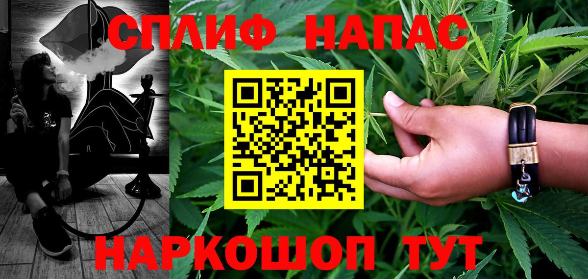 Шишки марихуана планчик  Вход с VPN  Сегежа  Бошки Шишки семена  Конопля Amnesia 